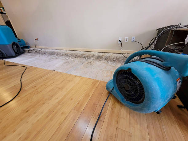 Professional Water Removal technician working in Pittsfield, ME